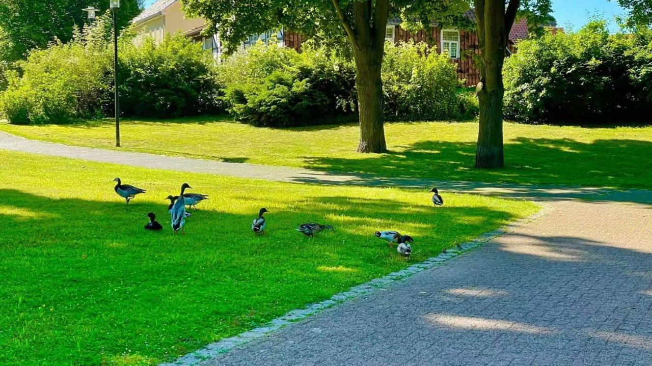 Gaestehaus Ambiente Am Kurpark Bad Sooden-Allendorf Dış mekan fotoğraf